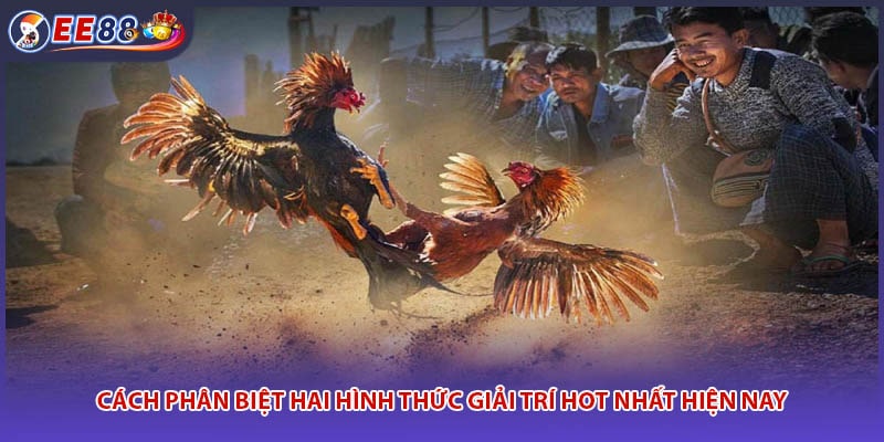 Cách phân biệt hai hình thức giải trí hot nhất hiện nay