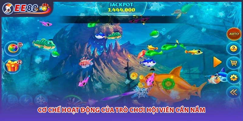 Cơ chế hoạt động của trò chơi hội viên cần nắm